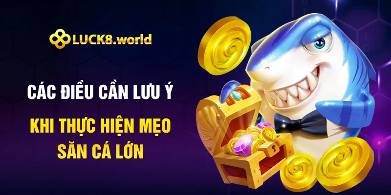 Các điều cần lưu ý khi thực hiện mẹo săn cá lớn Các điều cần lưu ý khi thực hiện mẹo săn cá lớn