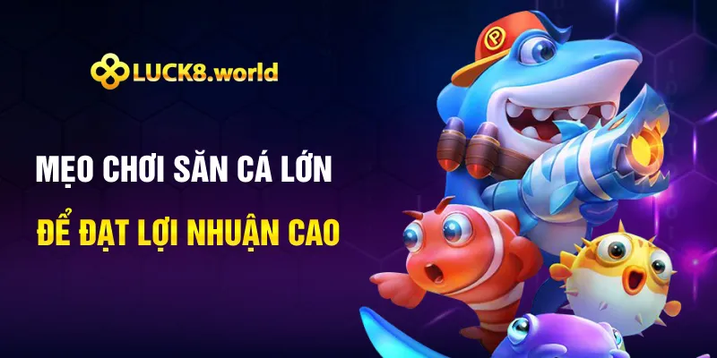 Mẹo chơi săn cá lớn để đạt lợi nhuận cao Mẹo chơi săn cá lớn để đạt lợi nhuận cao